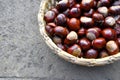 Chestnuts in the basket Royalty Free Stock Photo