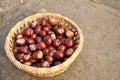 Chestnuts in the basket Royalty Free Stock Photo