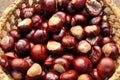 Chestnuts in the basket Royalty Free Stock Photo