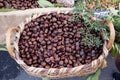 Chestnuts Basket Royalty Free Stock Photo