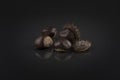 Chestnuts on black. Artistic horse-chestnut photo