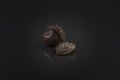 Chestnuts on black. Artistic horse-chestnut photo