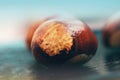 Chestnuts on a blue background Royalty Free Stock Photo