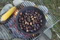 Cooking Chestnuts and Corncobs on the Fire