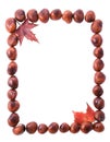 Chestnuts frame