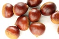 Chestnuts group Royalty Free Stock Photo