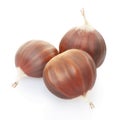 Chestnuts group Royalty Free Stock Photo