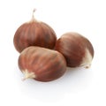 Chestnuts group Royalty Free Stock Photo