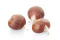 Chestnuts group Royalty Free Stock Photo