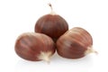 Chestnuts group Royalty Free Stock Photo