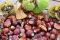 Chestnuts, husk and dead leaves