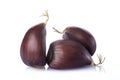 Chestnuts isolated on a white background Royalty Free Stock Photo