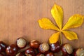 Chestnuts with leaf