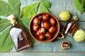 Chestnuts, leaves and bottles of essential oil on blue wooden table, flat lay