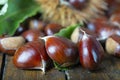 Chestnuts with leaves and blurs Royalty Free Stock Photo