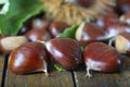 Chestnuts with leaves Royalty Free Stock Photo