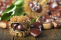 Chestnuts with leaves Royalty Free Stock Photo