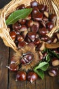 Chestnuts with leaves Royalty Free Stock Photo