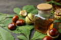 Chestnuts, leaves and jar of essential oil on grey table