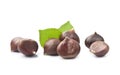 Chestnuts with leaves Royalty Free Stock Photo