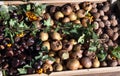 Chestnuts, medlar and walnuts Royalty Free Stock Photo