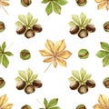 Chestnuts.Nuts and leaves on white seamless background.Traditional thanksgiving food, autumn holidays and a healthy diet