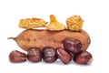 Chestnuts, panellets and sweet potato Royalty Free Stock Photo
