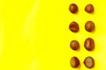 Chestnuts pattern on yellow background top view chestnut Royalty Free Stock Photo