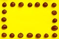 Chestnuts pattern on yellow background top view chestnut Royalty Free Stock Photo