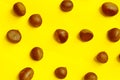 Chestnuts pattern on yellow background top view chestnut Royalty Free Stock Photo