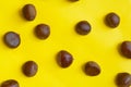 Chestnuts pattern on yellow background top view chestnut Royalty Free Stock Photo