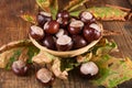 Chestnuts in retro basket on desk with fallen dry leaf Royalty Free Stock Photo