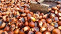 chestnuts roasted in chesnuts festival in greece