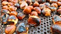 chestnuts roasted in chesnuts festival in greece