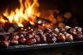 chestnuts roasting on an open fire Royalty Free Stock Photo