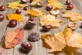 Chestnuts on a table