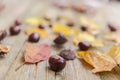 Chestnuts on a table