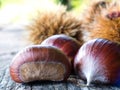 Chestnuts Royalty Free Stock Photo
