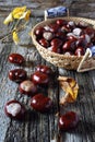 Chestnuts in wicker basket and autumn leaves Royalty Free Stock Photo