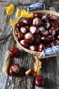 Chestnuts in wicker basket and autumn leaves Royalty Free Stock Photo