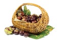 Chestnuts in Wicker Basket on Green Leaves Isolated on White Royalty Free Stock Photo