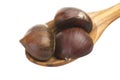 Chestnuts Royalty Free Stock Photo