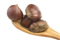 Chestnuts Royalty Free Stock Photo