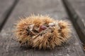 chestnuts on wooden table Royalty Free Stock Photo