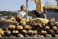 Chestnuts & x28;chestnut kebab& x29; close-up. Walking people blurred background. The seller withdrew on the counter