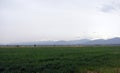 Chetindi village, Mountains and a grass