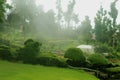 Chettiar park with mist in the kodaikanal hill.