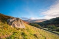 The Cheviot from Coldburn Hill Royalty Free Stock Photo