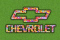 Chevrolet Logo with colorful flowers on green background Royalty Free Stock Photo