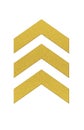 Chevrons in gold glitter